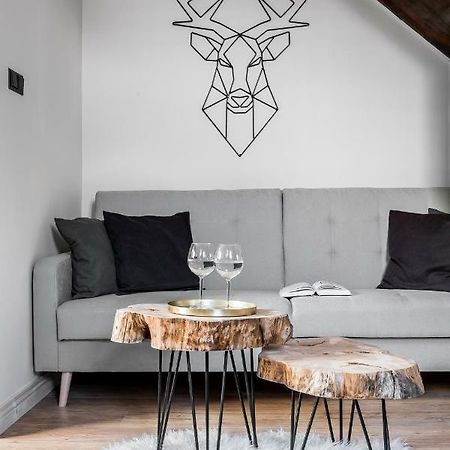 Apartamenty Forrest Nowotarska ザコパネ エクステリア 写真