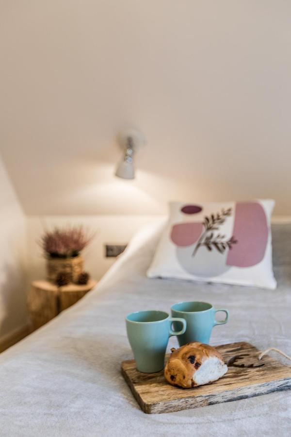 Apartamenty Forrest Nowotarska ザコパネ エクステリア 写真
